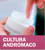 Cultura Andrómaco