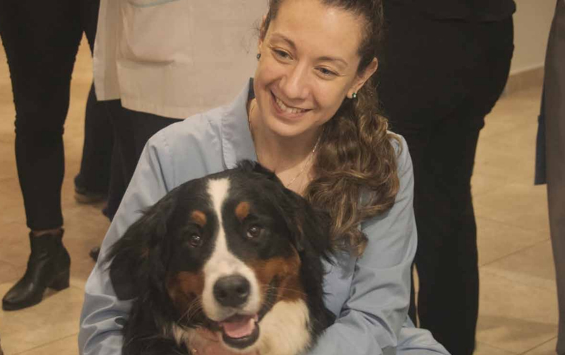 Perros de asistencia hospitalaria: una compañía sanadora