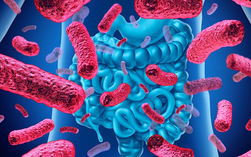 El microbioma intestinal  como reservorio de resistencia a los antimicrobianos
