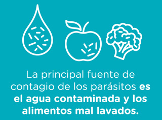 principales fuentes de contagio de parásitos
