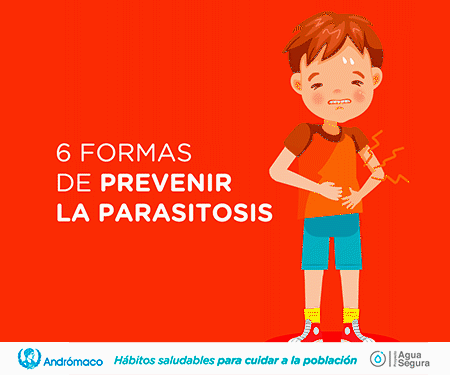 6 formas de prevenir la parasitosis